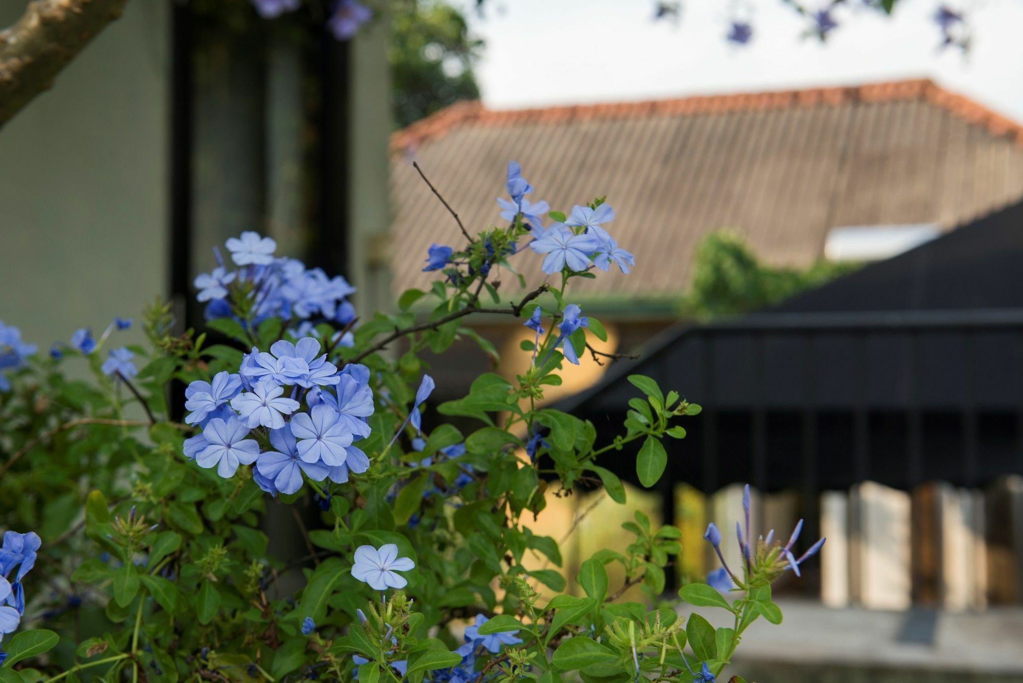 Villa Escondite - The Hotel Sri Jayewardenepura Kotte Dış mekan fotoğraf